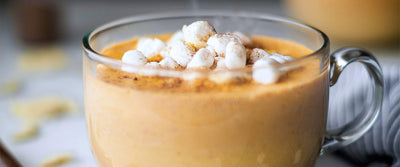 Pumpkin White Chocolate Hot Cocoa
